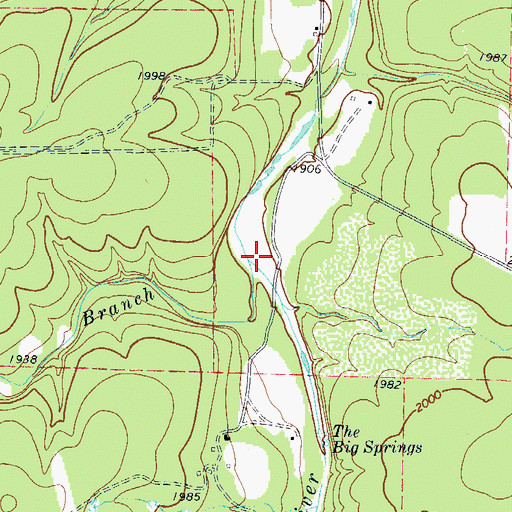 Topographic Map of Grays Branch, TX