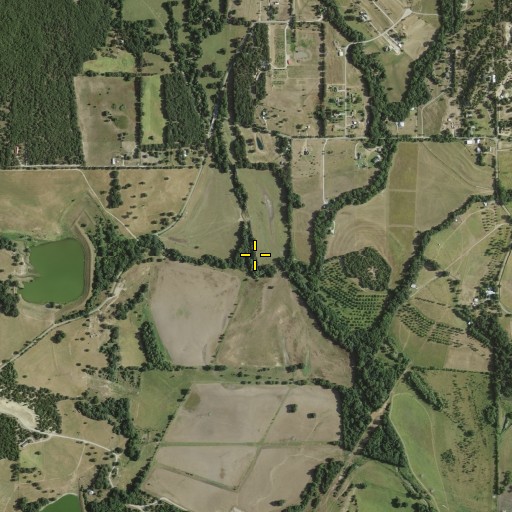 Aerial/Satellite Image of Green Branch, TX