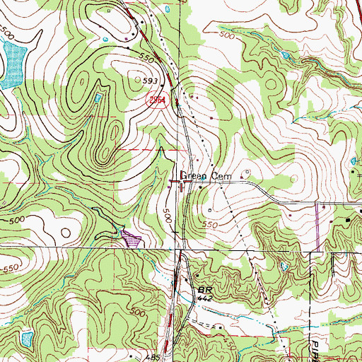 Topographic Map of Green Cemetery, TX