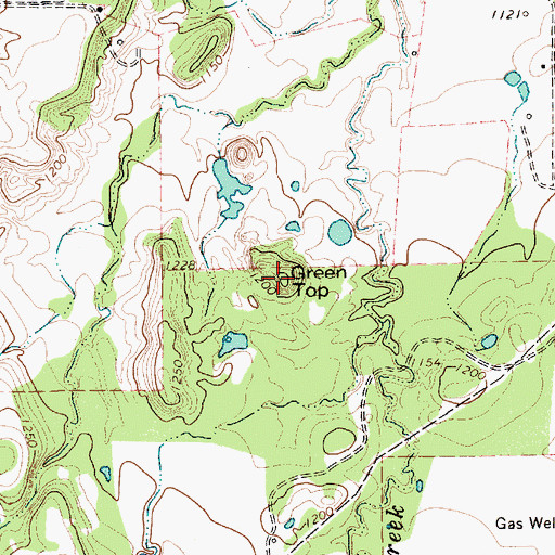 Topographic Map of Green Top, TX