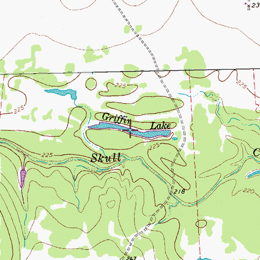 Topographic Map of Griffin Lake, TX
