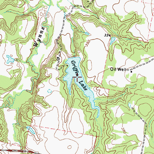 Topographic Map of Griffin Lake, TX