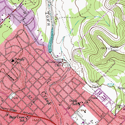 Topographic Map of Guadalupe Cemetery, TX