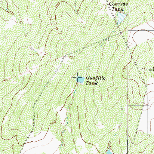 Topographic Map of Guajillo Tank, TX