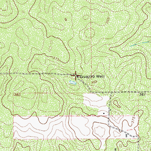 Topographic Map of Guajillo Well, TX