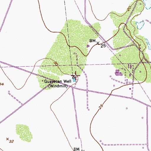 Topographic Map of Guayacan Well, TX
