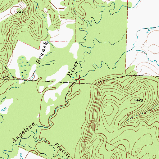 Topographic Map of Gum Branch, TX