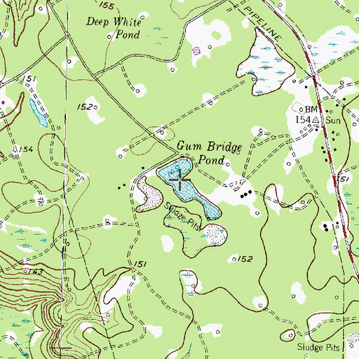 Topographic Map of Gum Bridge Pond, TX