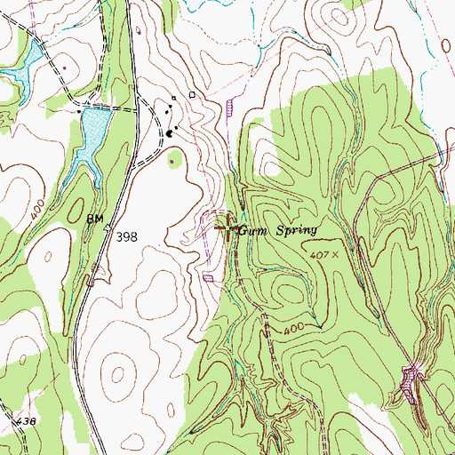 Topographic Map of Gum Spring, TX