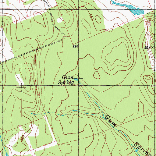 Topographic Map of Gum Spring, TX