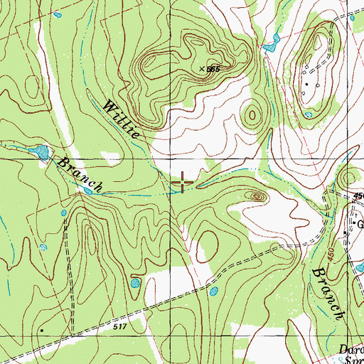Topographic Map of Gum Spring Branch, TX