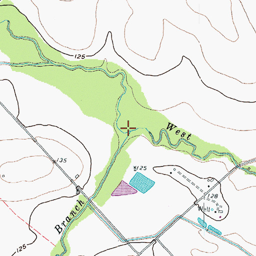 Topographic Map of Gum Tree Branch, TX