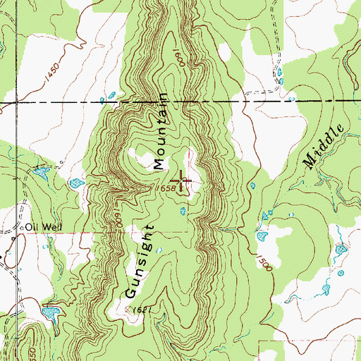 Topographic Map of Gunsight Mountain, TX