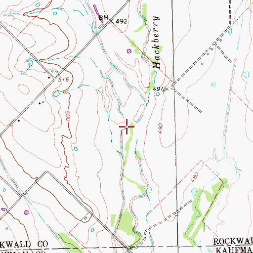 Topographic Map of Hackberry Creek, TX