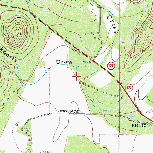 Topographic Map of Hackberry Draw, TX