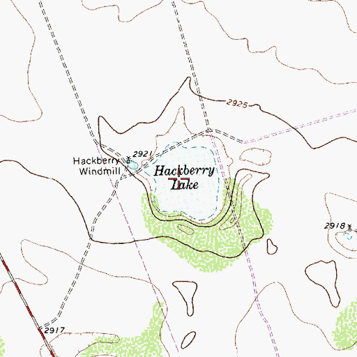 Topographic Map of Hackberry Lake, TX