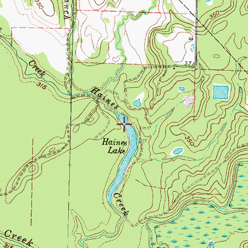 Topographic Map of Haines Lake, TX