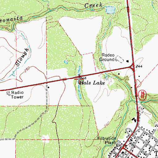 Topographic Map of Hals Lake, TX