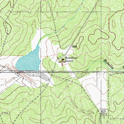 Topographic Map of Hamilton Ranch, TX