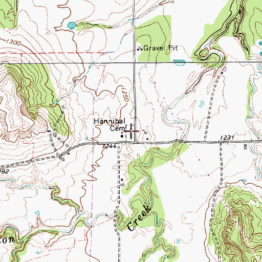 Topographic Map of Hannibal Cemetery, TX