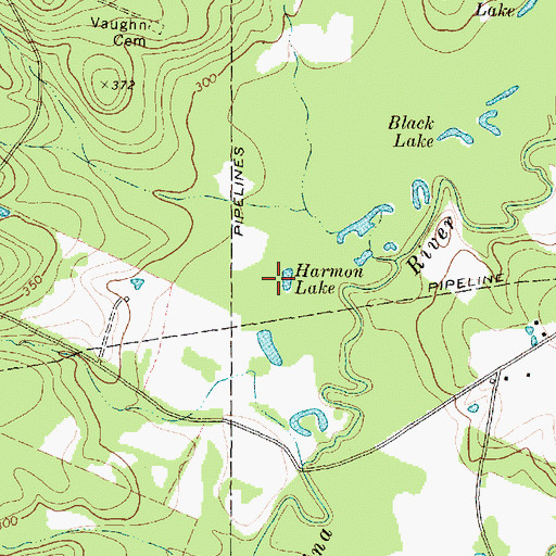 Topographic Map of Harmon Lake, TX
