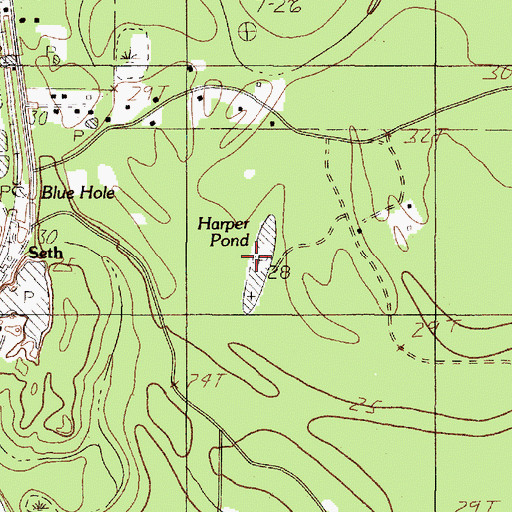 Topographic Map of Harper Pond, TX