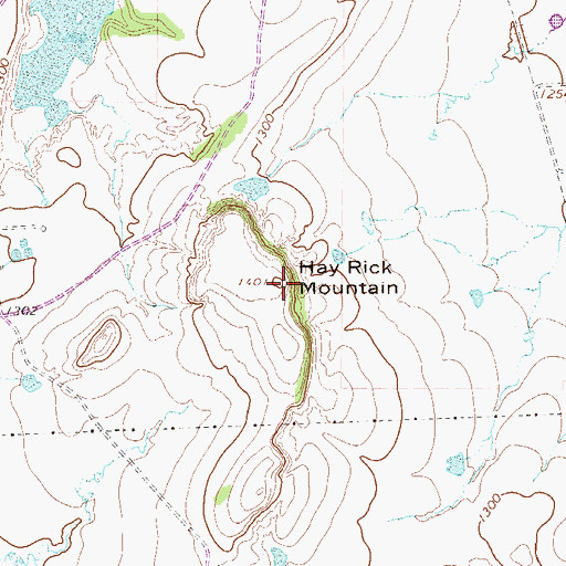 Topographic Map of Hay Rick Mountain, TX