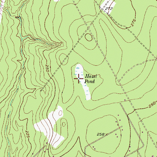 Topographic Map of Hazel Pond, TX