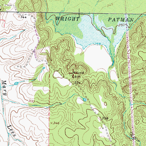 Topographic Map of Heard Cemetery, TX
