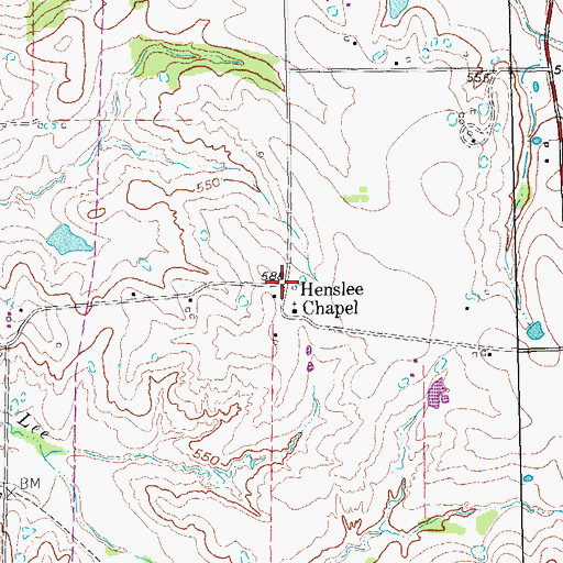 Topographic Map of Henslee Chapel, TX