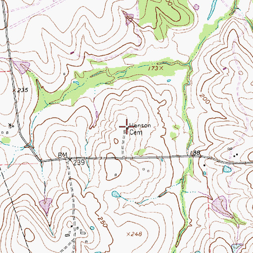 Topographic Map of Henson Cemetery, TX