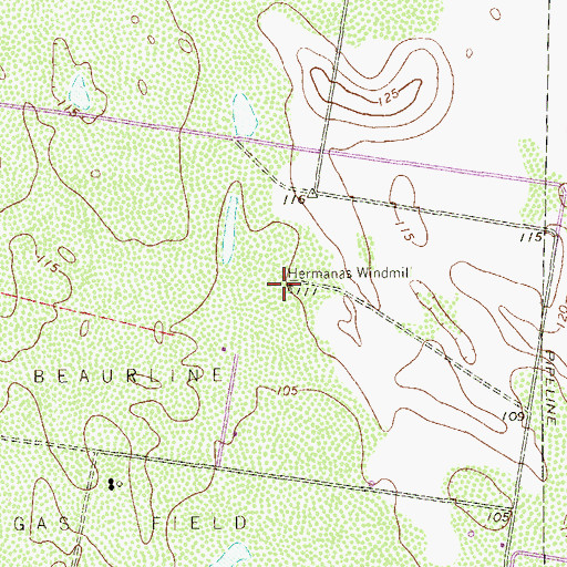 Topographic Map of Hermanas Windmill, TX