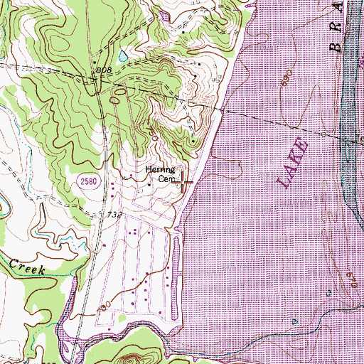 Topographic Map of Herring Cemetery, TX