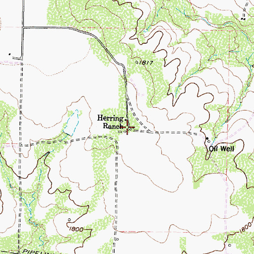 Topographic Map of Herring Ranch, TX