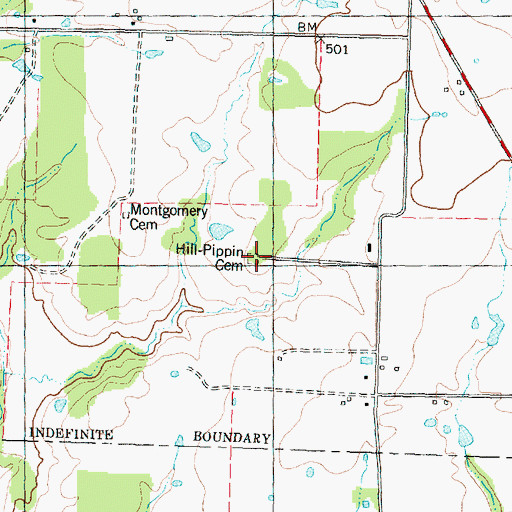 Topographic Map of Hill Pippin Cemetery, TX