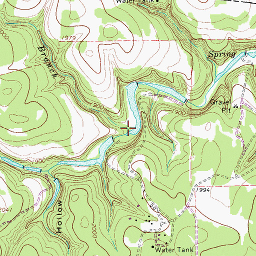 Topographic Map of Hog Branch, TX