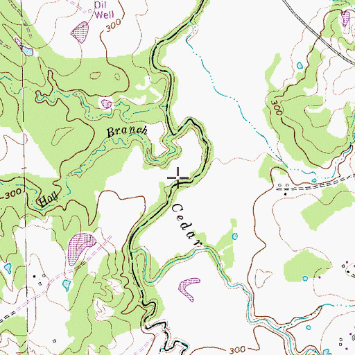 Topographic Map of Hog Branch, TX
