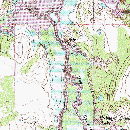 Topographic Map of Hog Branch, TX