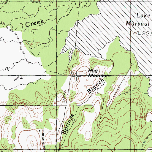 Topographic Map of Hog Mountain, TX
