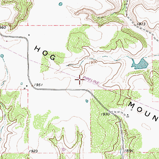 Topographic Map of Hog Mountains, TX