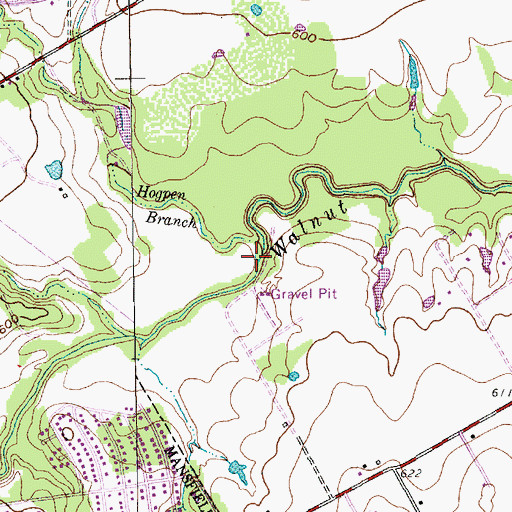 Topographic Map of Hogpen Branch, TX