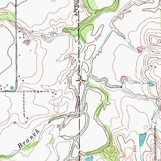 Topographic Map of Hollings Branch, TX
