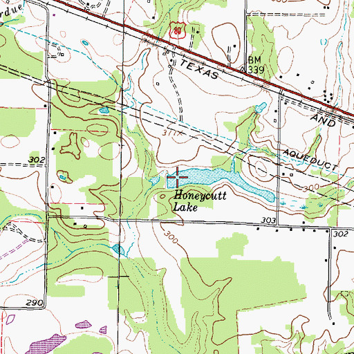 Topographic Map of Honeycutt Lake, TX