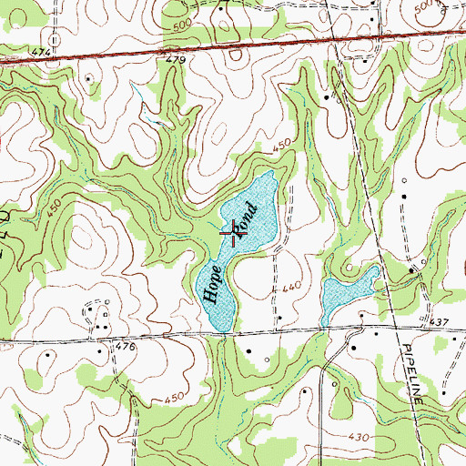Topographic Map of Hope Pond, TX