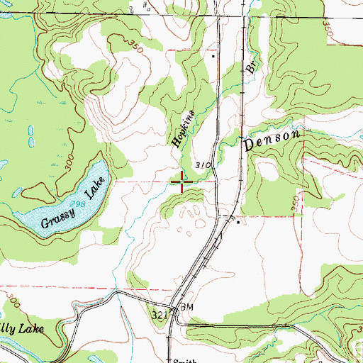 Topographic Map of Hopkins Branch, TX