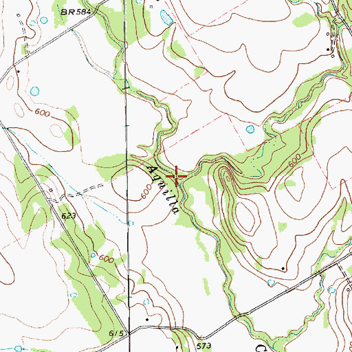 Topographic Map of Horne Branch, TX