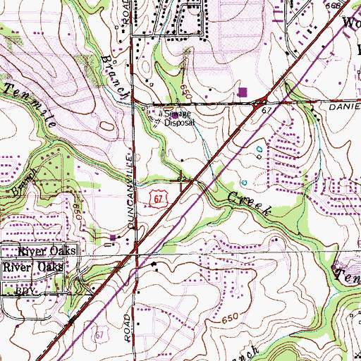 Topographic Map of Hornet Branch, TX