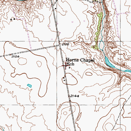 Topographic Map of Horns Chapel School, TX