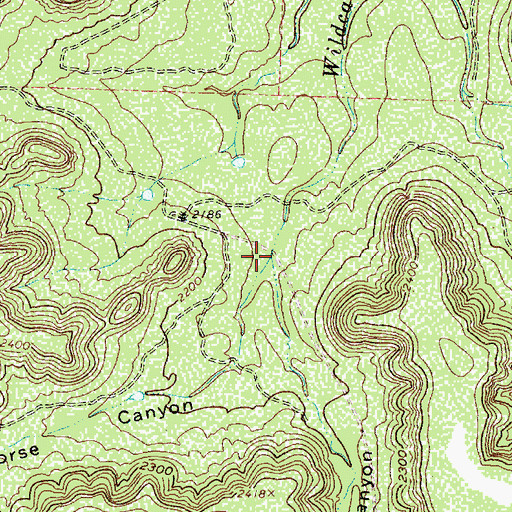 Topographic Map of Horse Canyon, TX