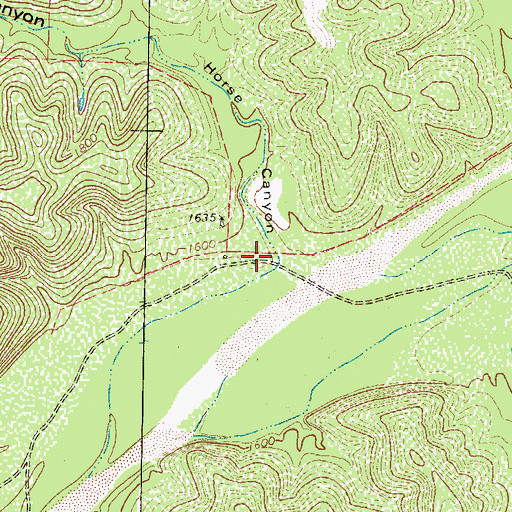 Topographic Map of Horse Canyon, TX